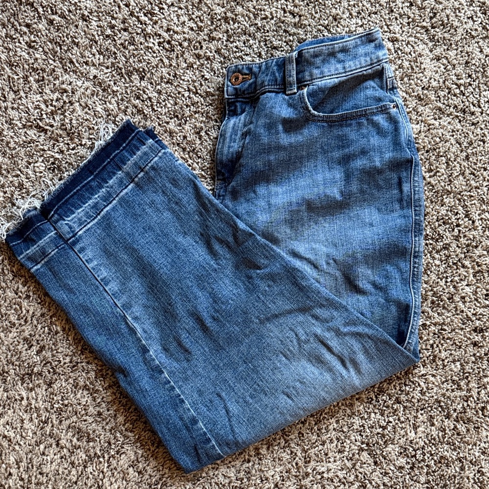 Talbots Women's Straight Jeans in Blue Denim